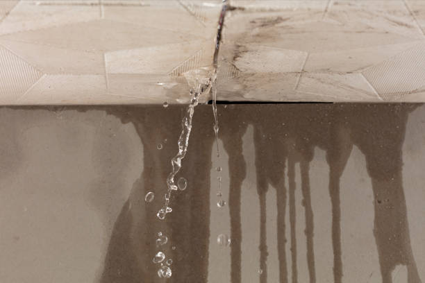 Professional Water Damage Repair technician working in Garrett, TX